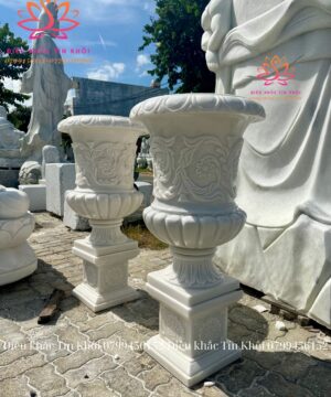 Lục Bình Bằng Đá